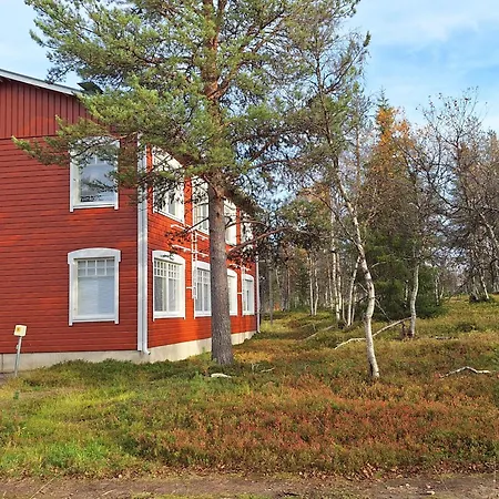 Robin * Саариселькя