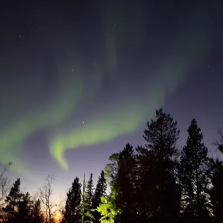 Daire Robin Saariselka